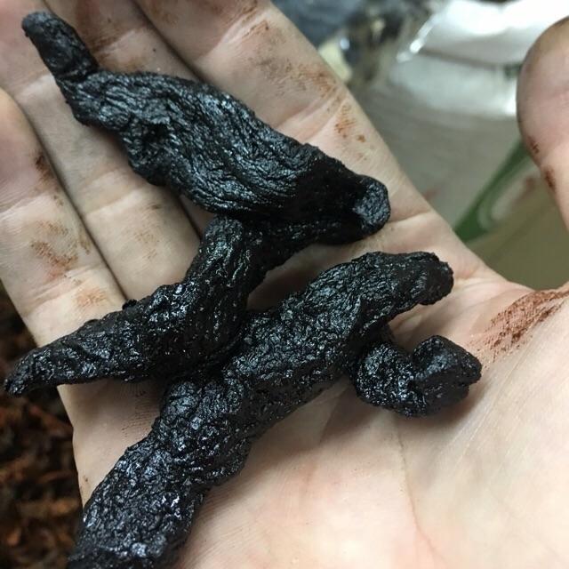 Thục địa đen 100gr