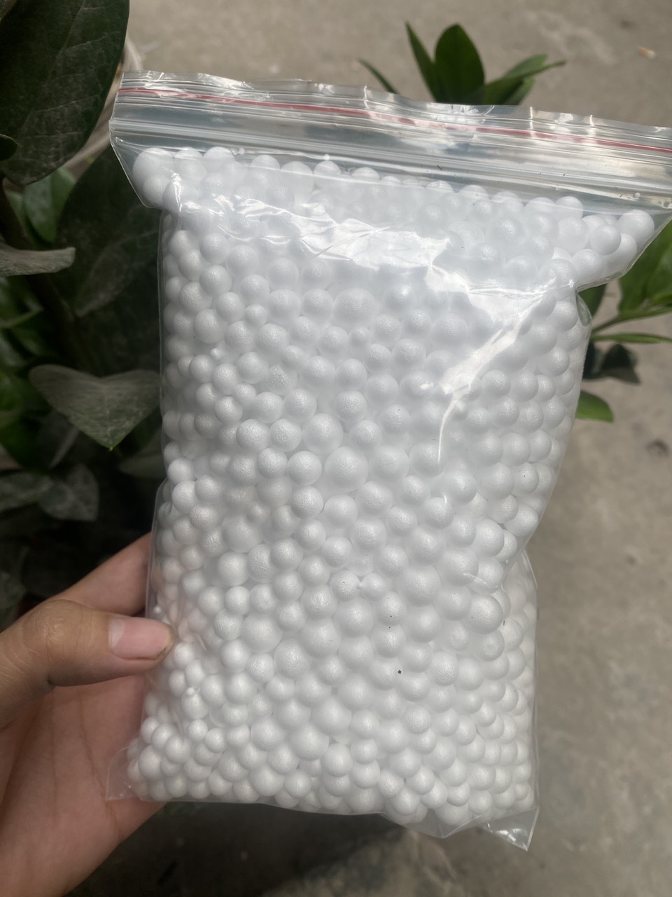 Hạt xốp câu lăng xê, câu lục, mồi câu chép