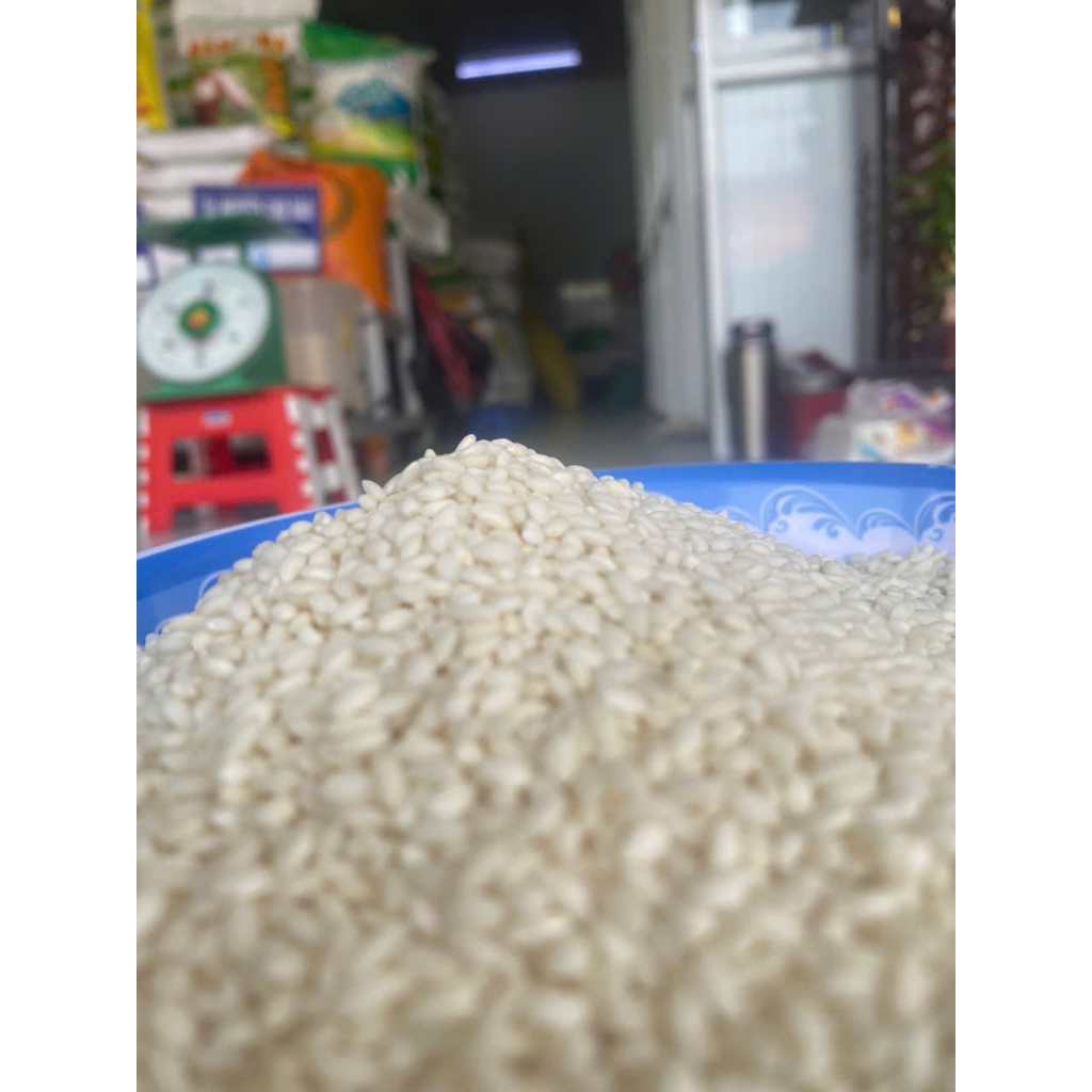 Nếp Cái Hoa Vàng  Hạt nếp Thơm Ngon, Dẻo Bùi