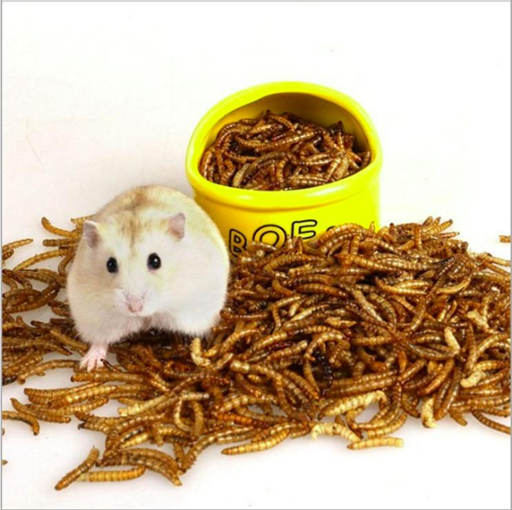 ✅Thức ăn sâu khô rang bơ cho hamster(Gói 30g)