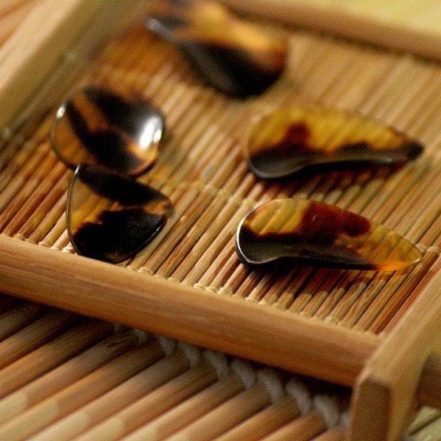 Móng chơi đàn tỳ bà pipa