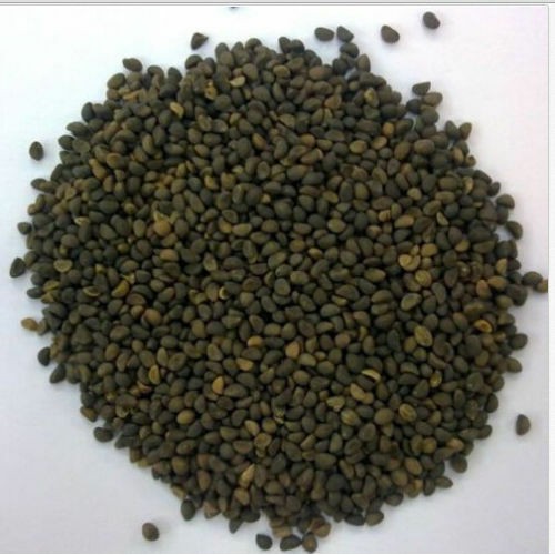 [ Gói 50g] Hạt giống Rau muống cực dễ trồng
