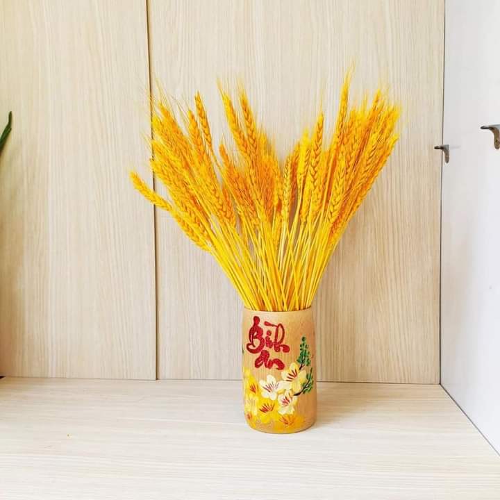 COMBO 100 BÔNG LÚA MẠCH VÀNG KHÔ DECOR TRANG TRÍ SIÊU ĐẸP