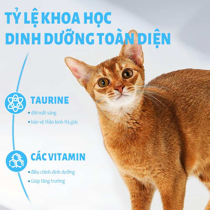 Hạt Cho Mèo Mr Vet 1KG
