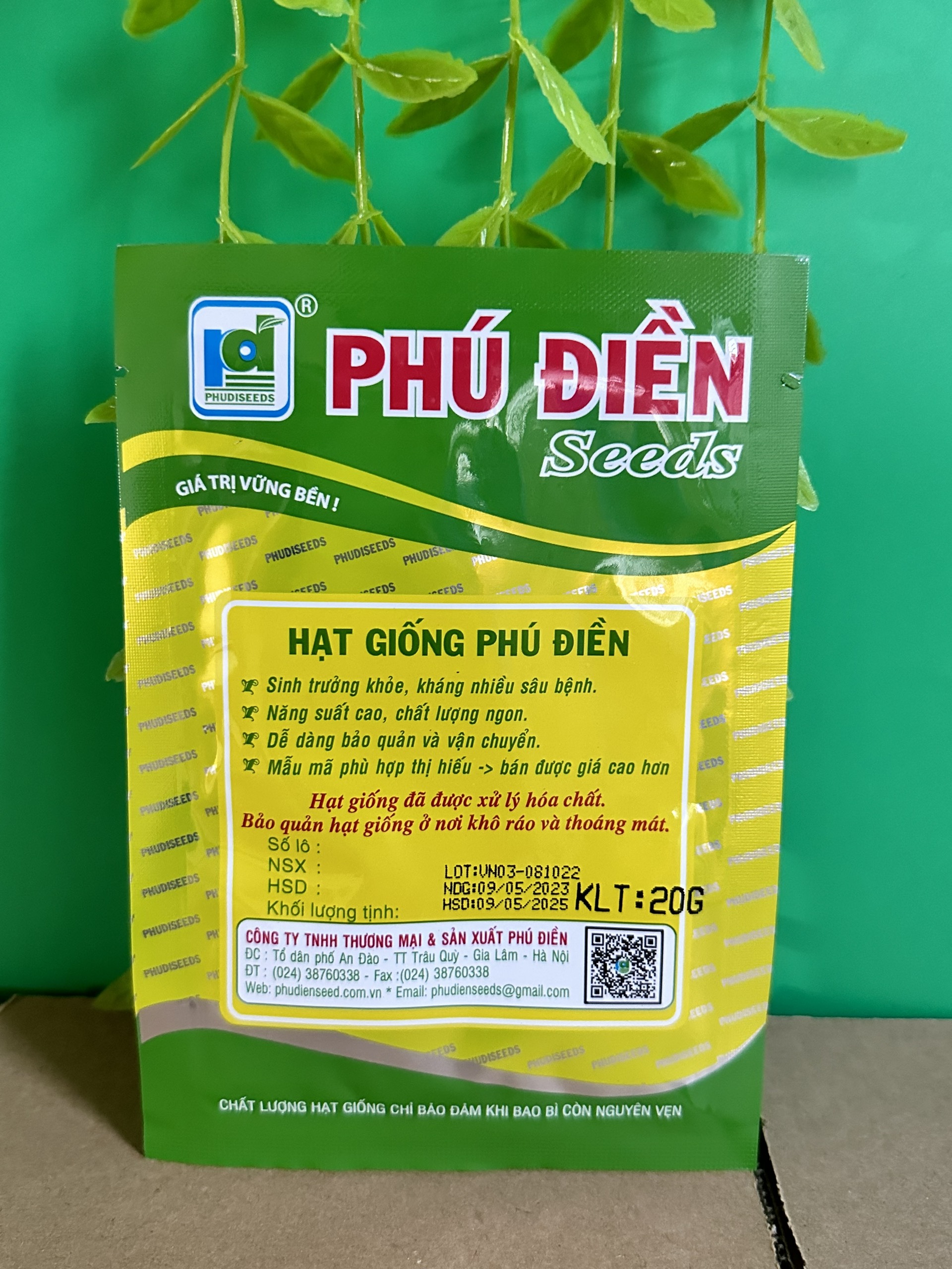 Hạt giống rau cải bẹ mào gà