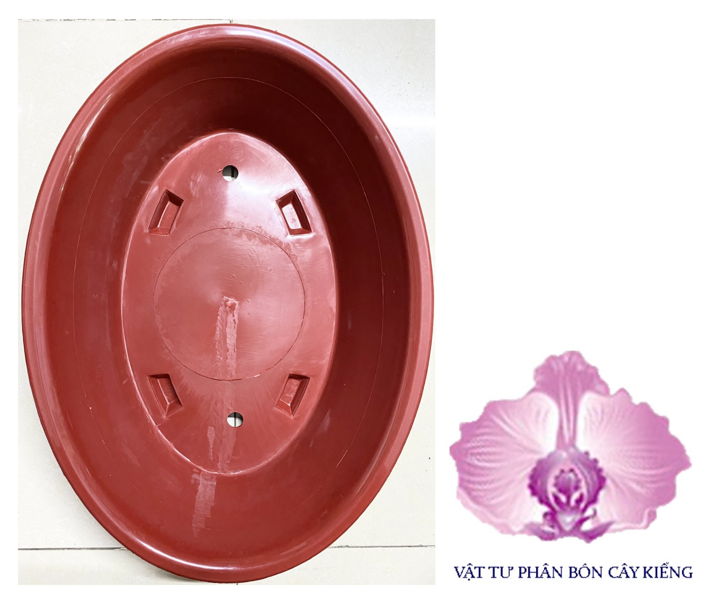 Chậu Oval Bonsai AD 50x40x12cm - #024D#