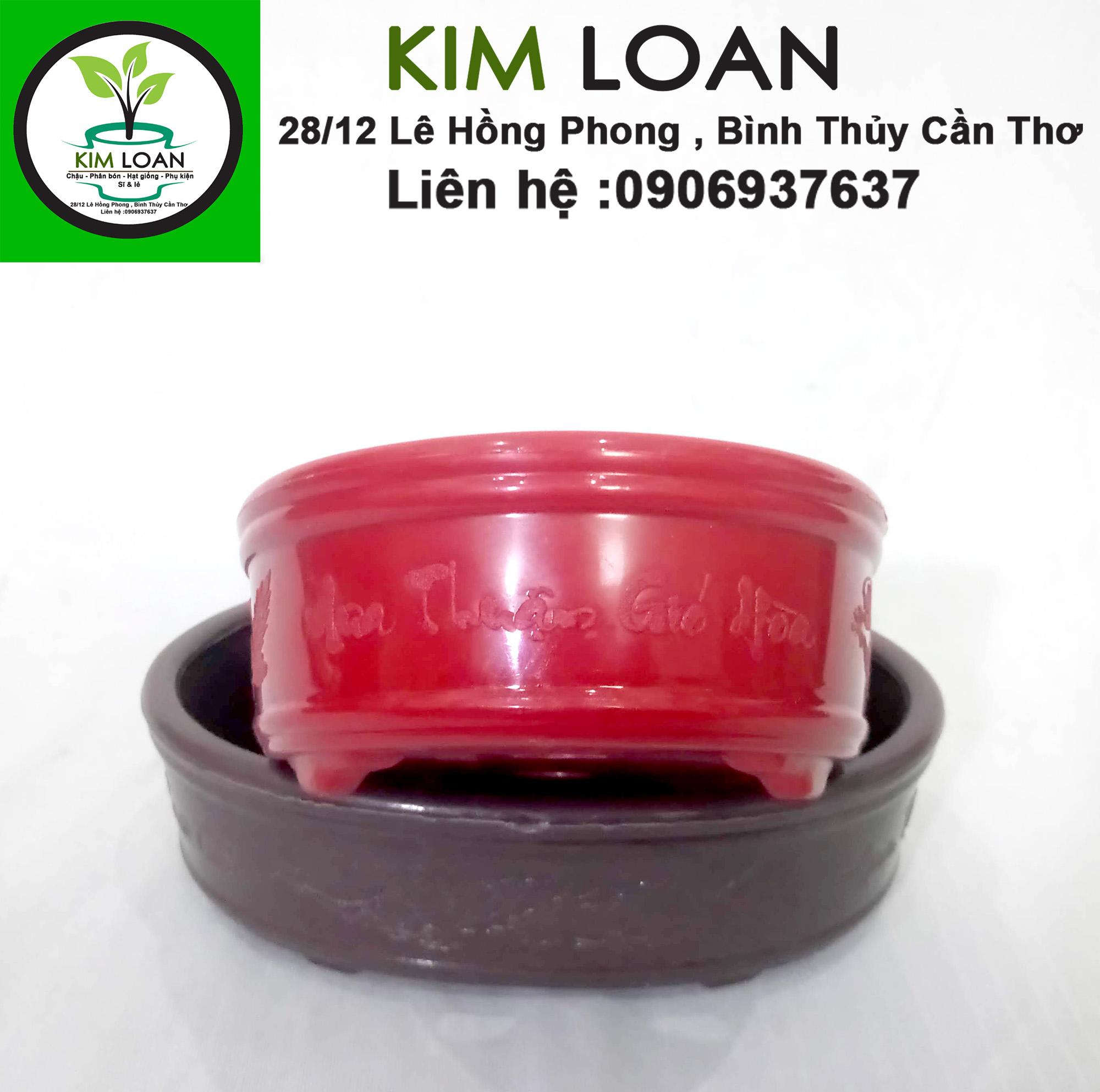 Chậu nhựa bonsai ovan mini 16x12x5cm