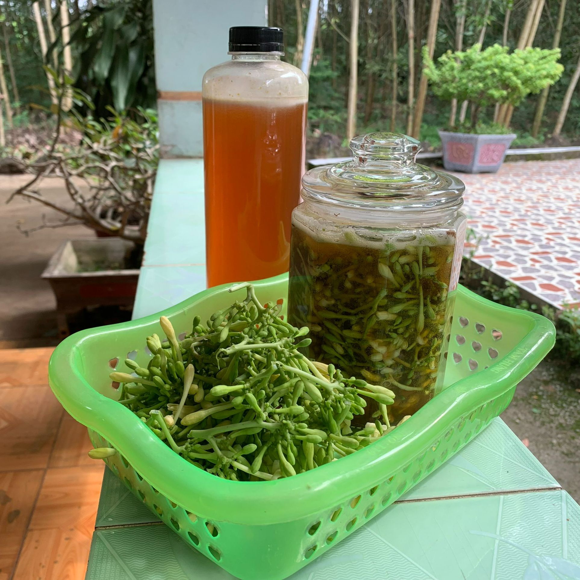 Hoa đu đủ đực ngâm mật ong 500ml