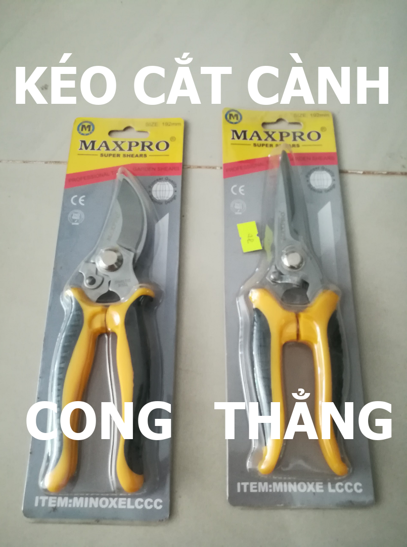 Kéo cắt cành cây thẳng, cong MAXPRO