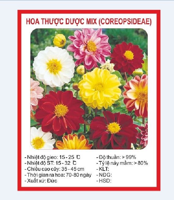 "Gói 50 Hạt " Hạt giống Hoa thược dược Mix Màu