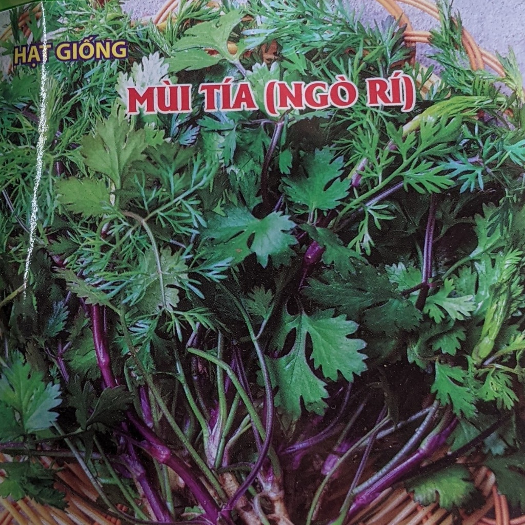 Hạt Giống Mùi Tía (Ngò Rí) 50g