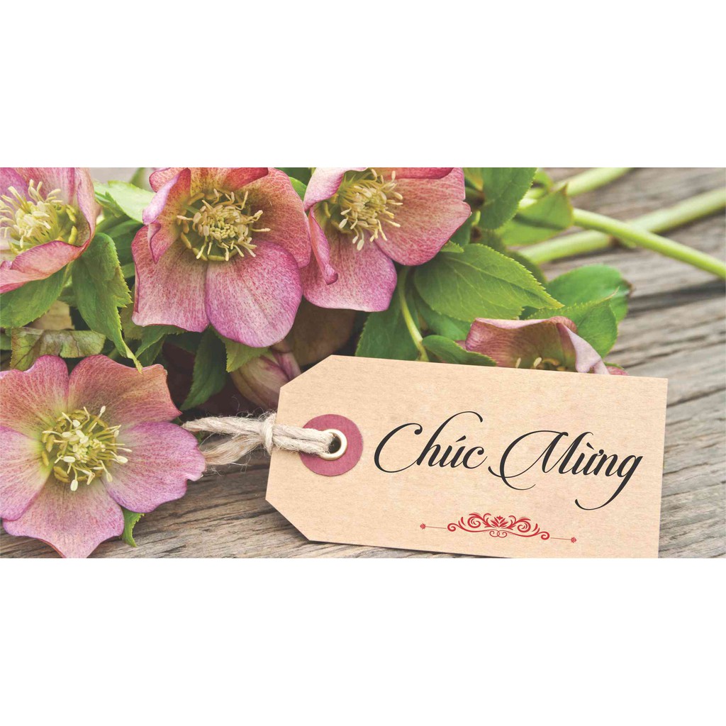 Thiệp chúc mừng siêu đẹp (Set 10)