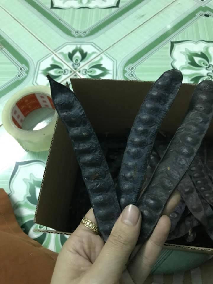 Bồ kết trái khô -500g