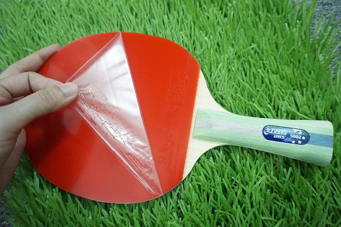 Vợt bóng bàn DHS 5002