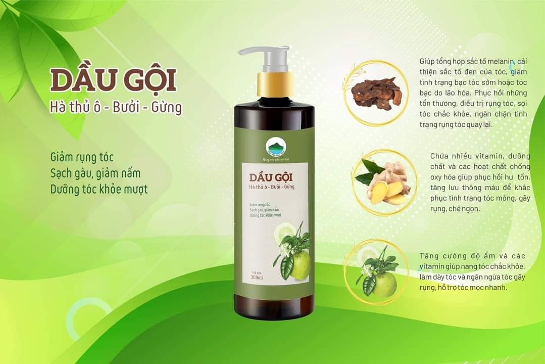 Dầu gội hà thủ ô bưởi gừng 500ml thảo mộc kim nhan