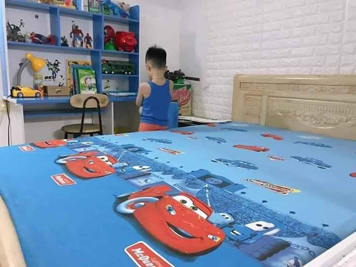 Drap Chống Thấm Cao Cấp Goodmama1m6*2m và 1m8*2m (ko vỏ gối)