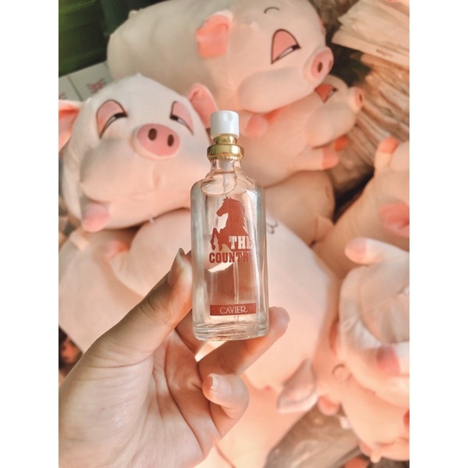 [HÀNG CHÍNH HÃNG] NƯỚC HOA NGỰA TOP COUNTRY 22ML THÁI LAN