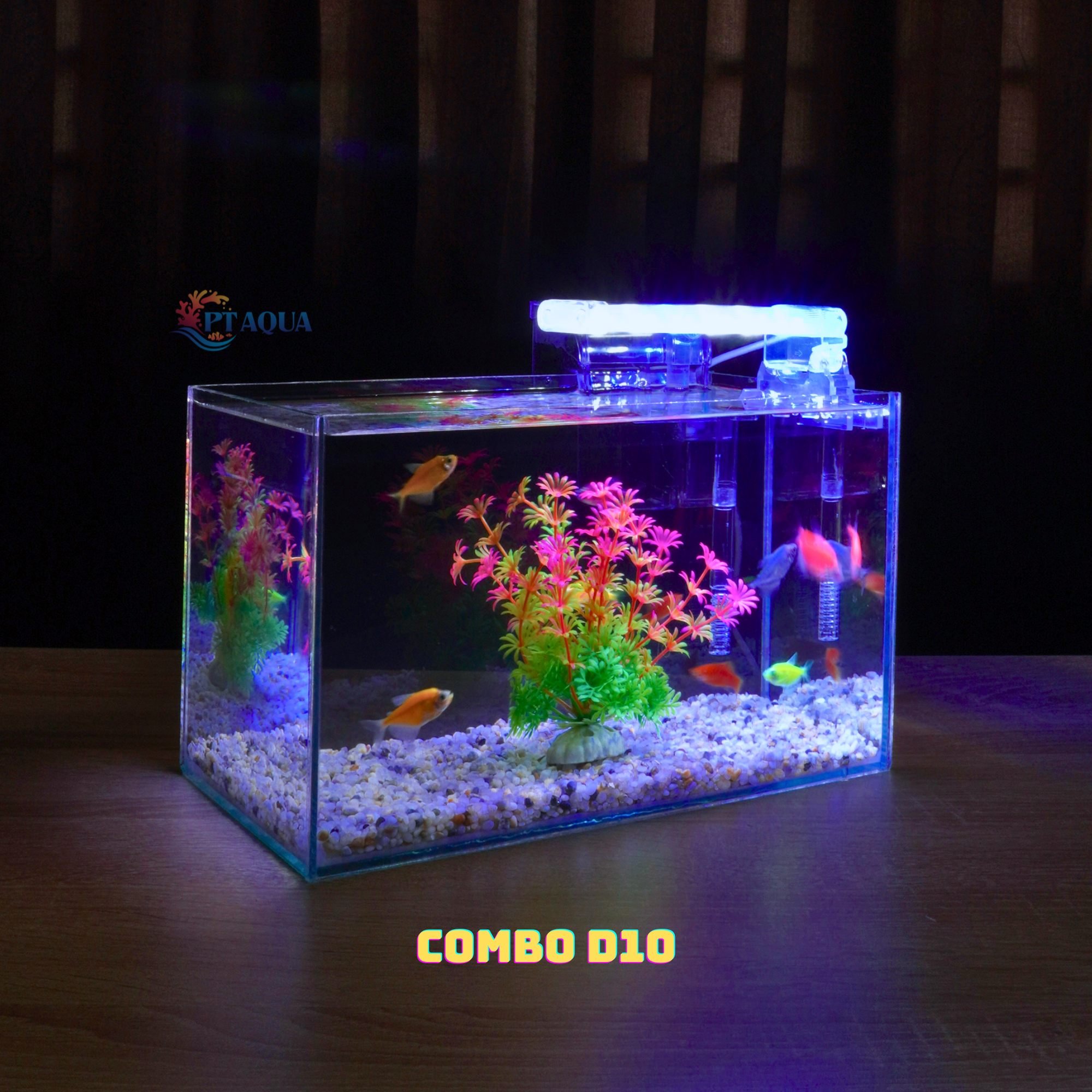 Bể cá mini FULL COMBO để bàn đầy đủ phụ kiện