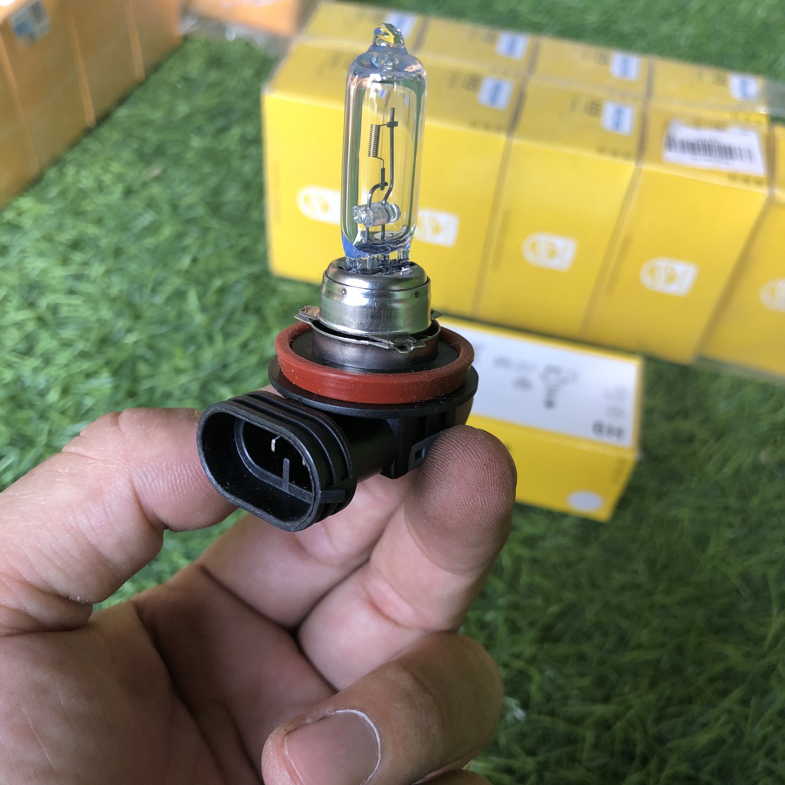 BÓNG ĐÈN Ô TÔ CHÂN H9 12V PHILIPS