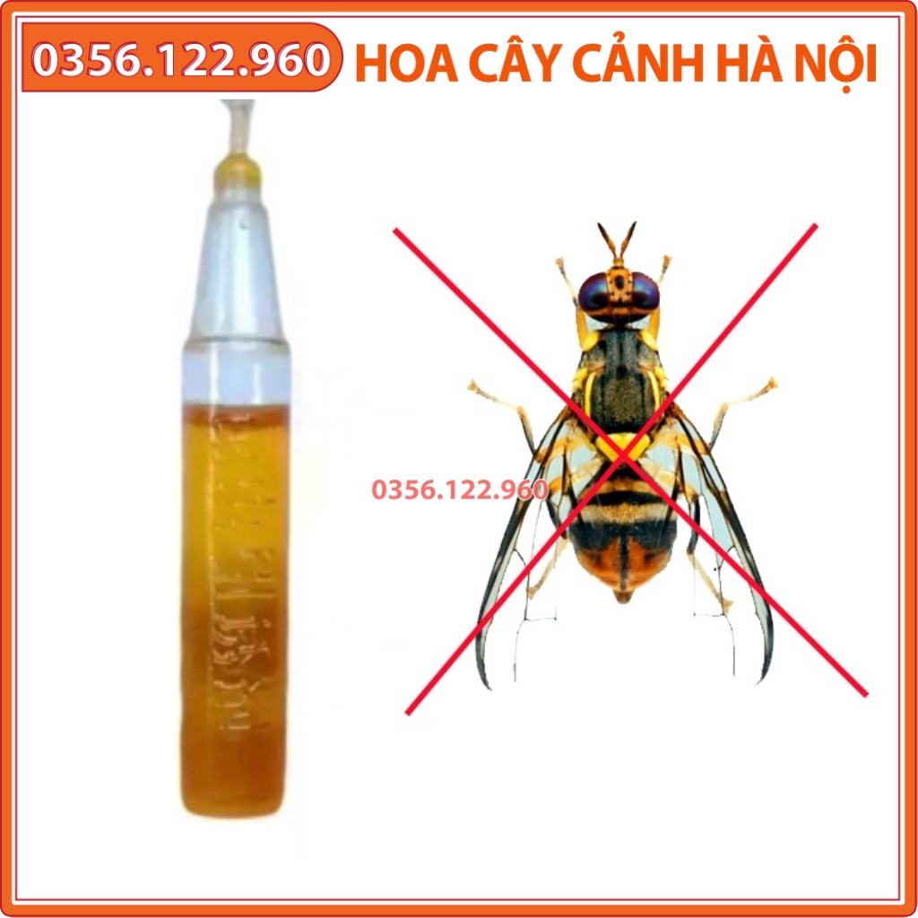 Ống chất dẫn dụ ruồi vàng đục trái 2ml