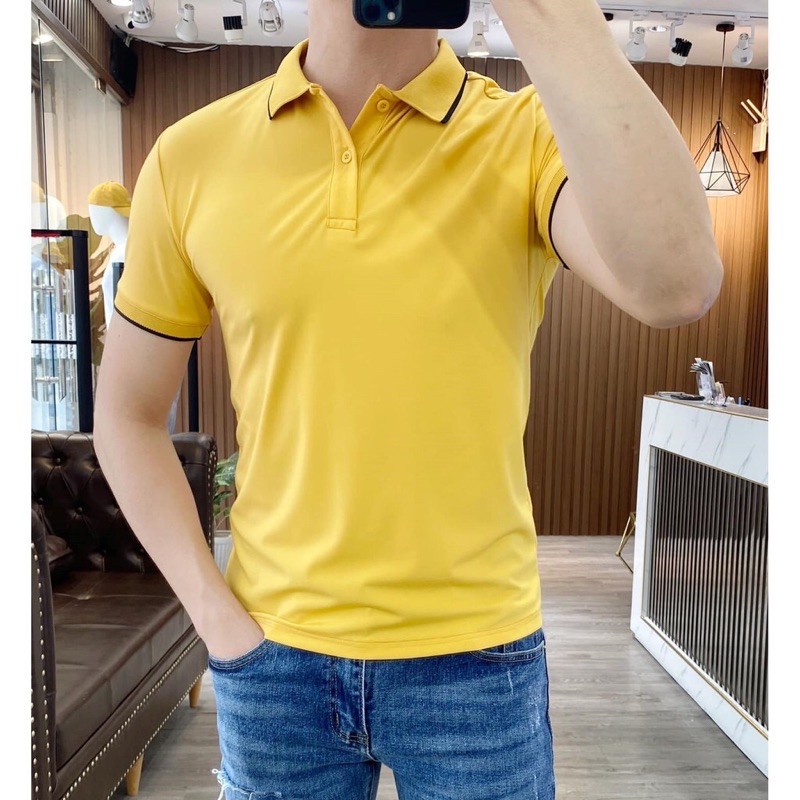 Áo thun cổ bẻ,có viền trang trí nam chất thun đẹp AT01