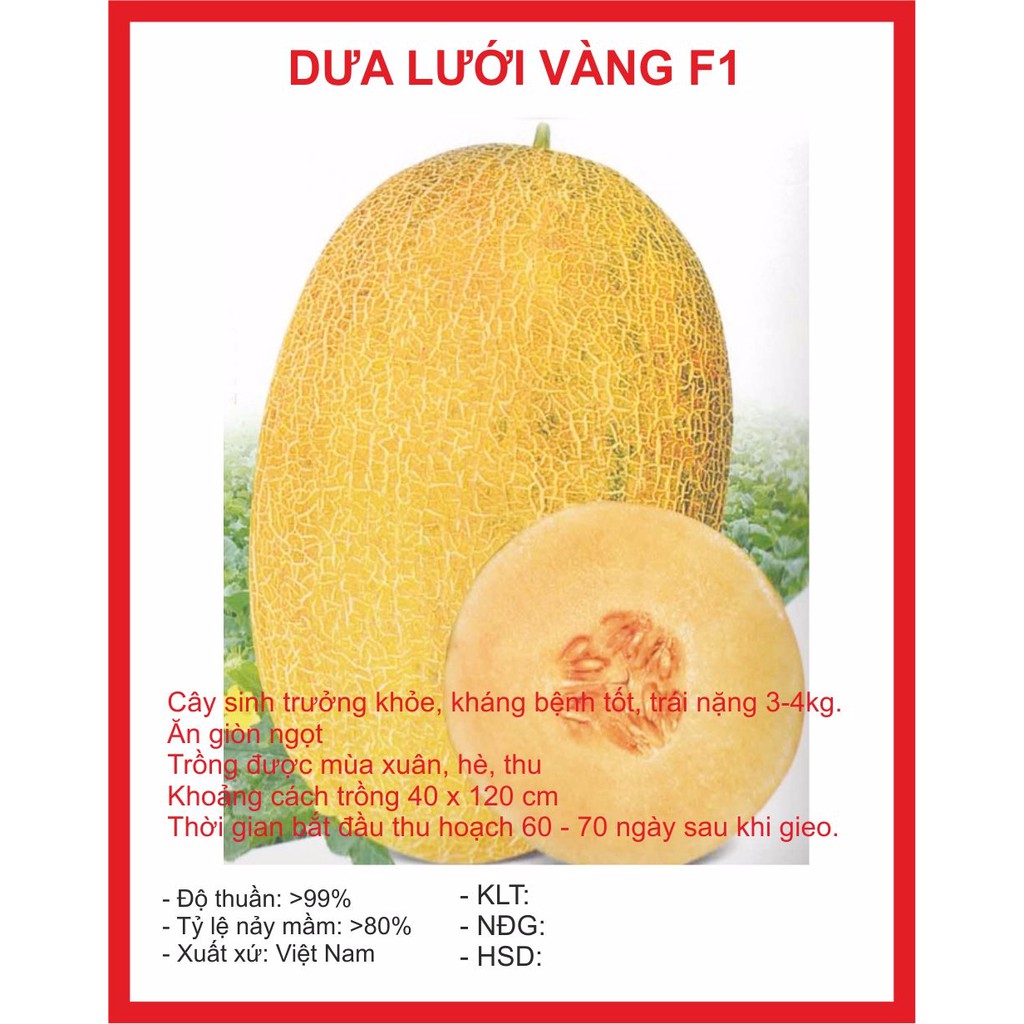 Hạt giống Dưa Lưới Vàng 10 Hạt