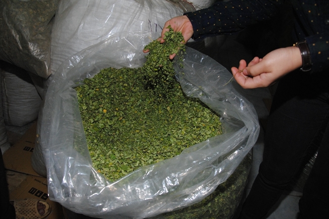 Chùm ngây sấy khô (Gói 1kg)