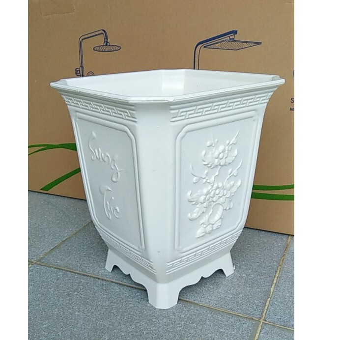 Chậu trồng cây tứ quý, chậu vuông