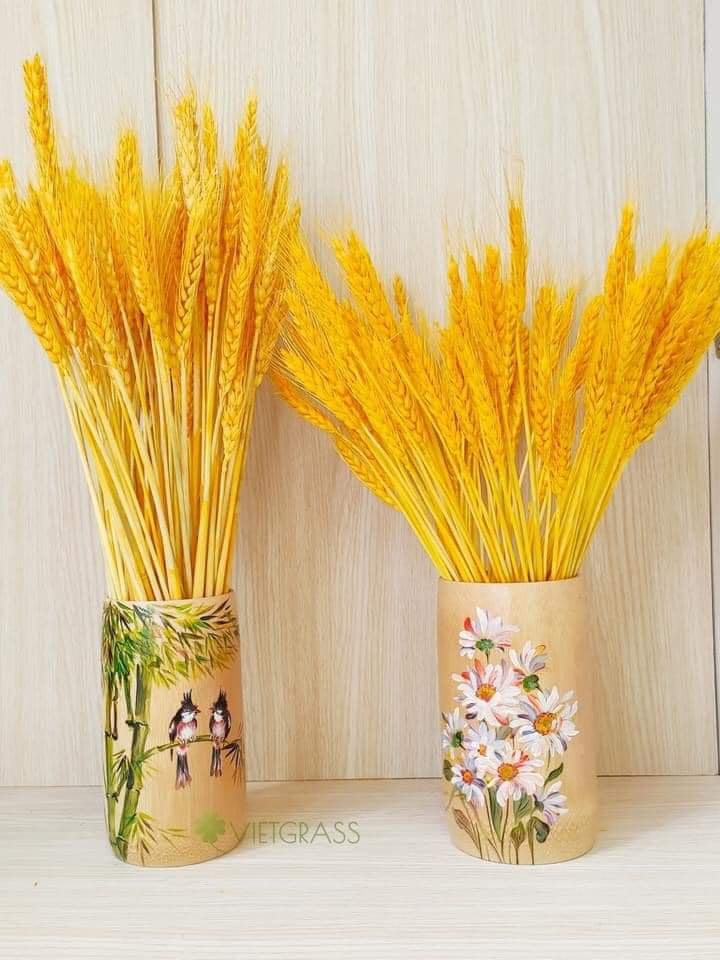 Bó 100 Bông Lúa Mạch Khô Decor Trang Trí Màu Vàng - Siêu Đẹp
