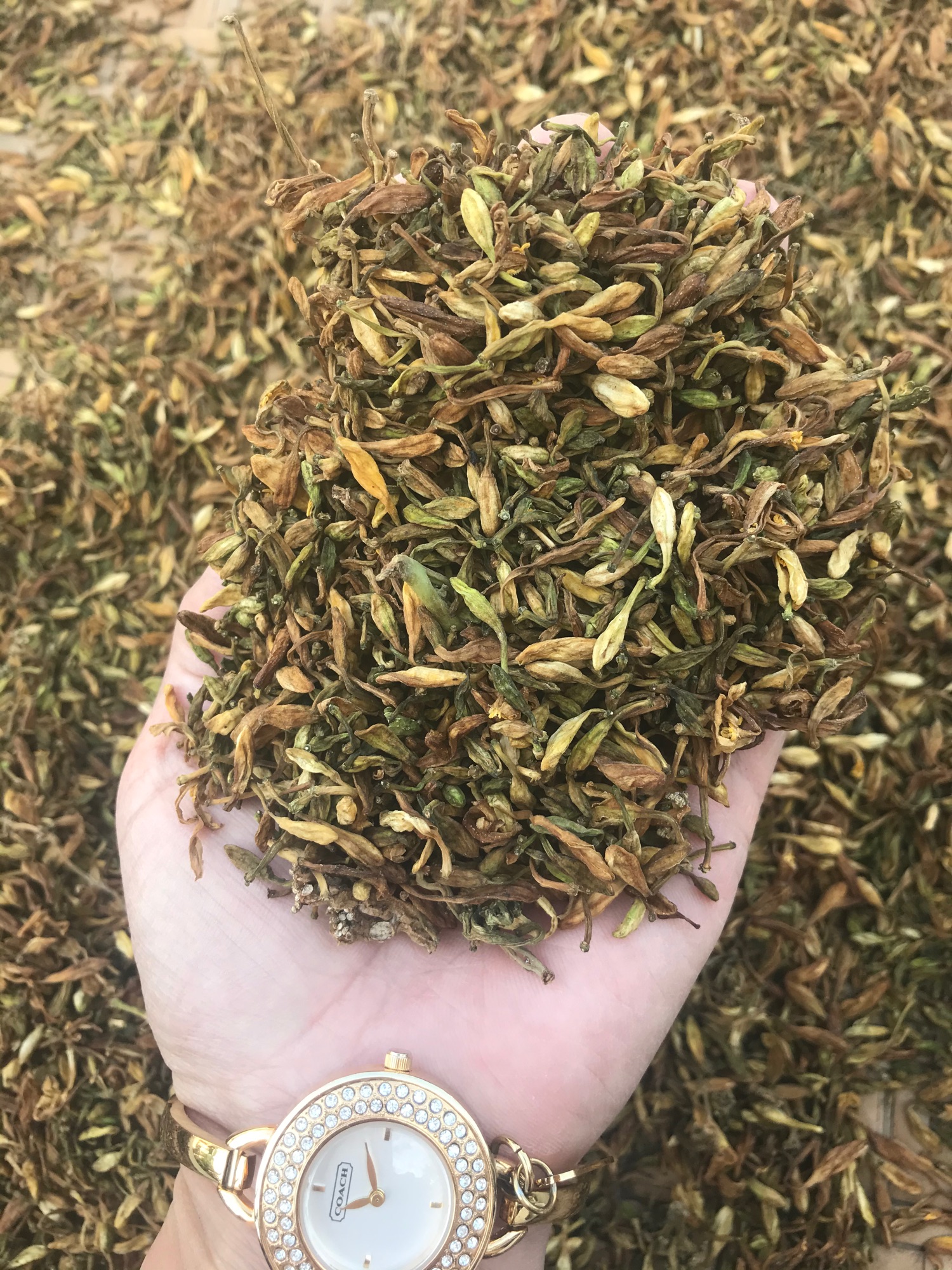 Hoa đu đủ khô (100g)