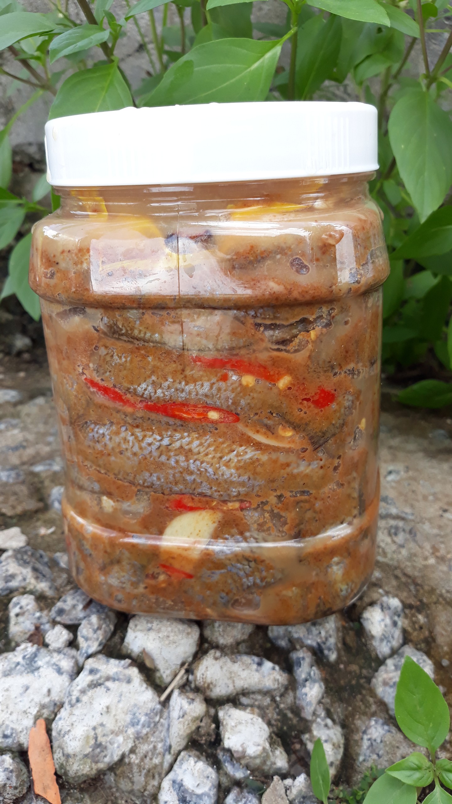 Mắm chua cá phi (Hương vị Cà Mau)