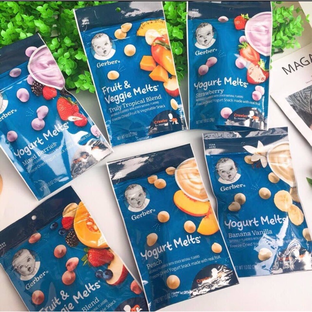 SỮA CHUA KHÔ GERBER HOA QUẢ