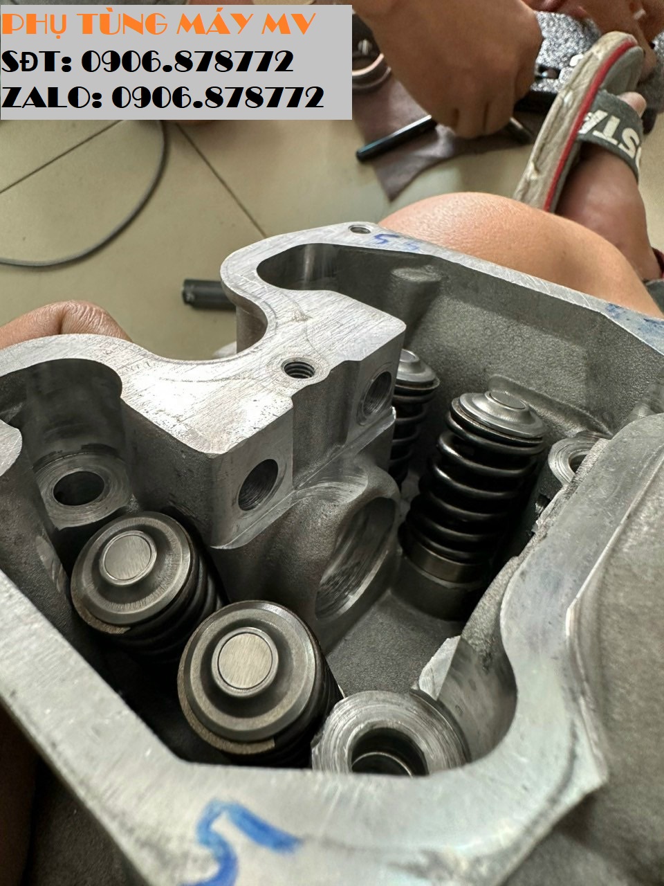 Chén móng đồng tiền Ex V2 ko cấn cò. Ráp như zin
