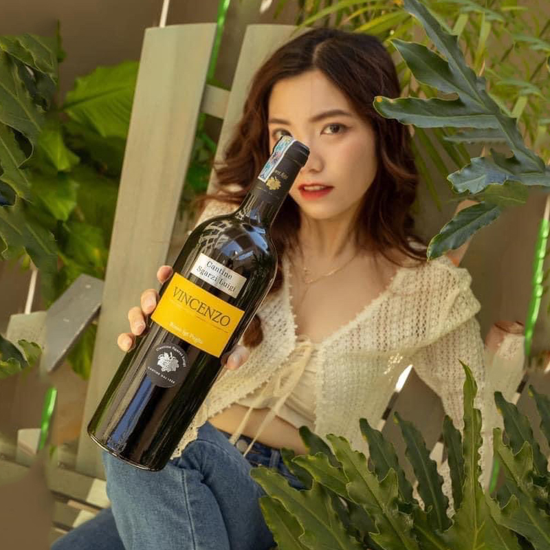 Vang đỏ nhập khẩu Ý VINCENZO 14% - vang chát