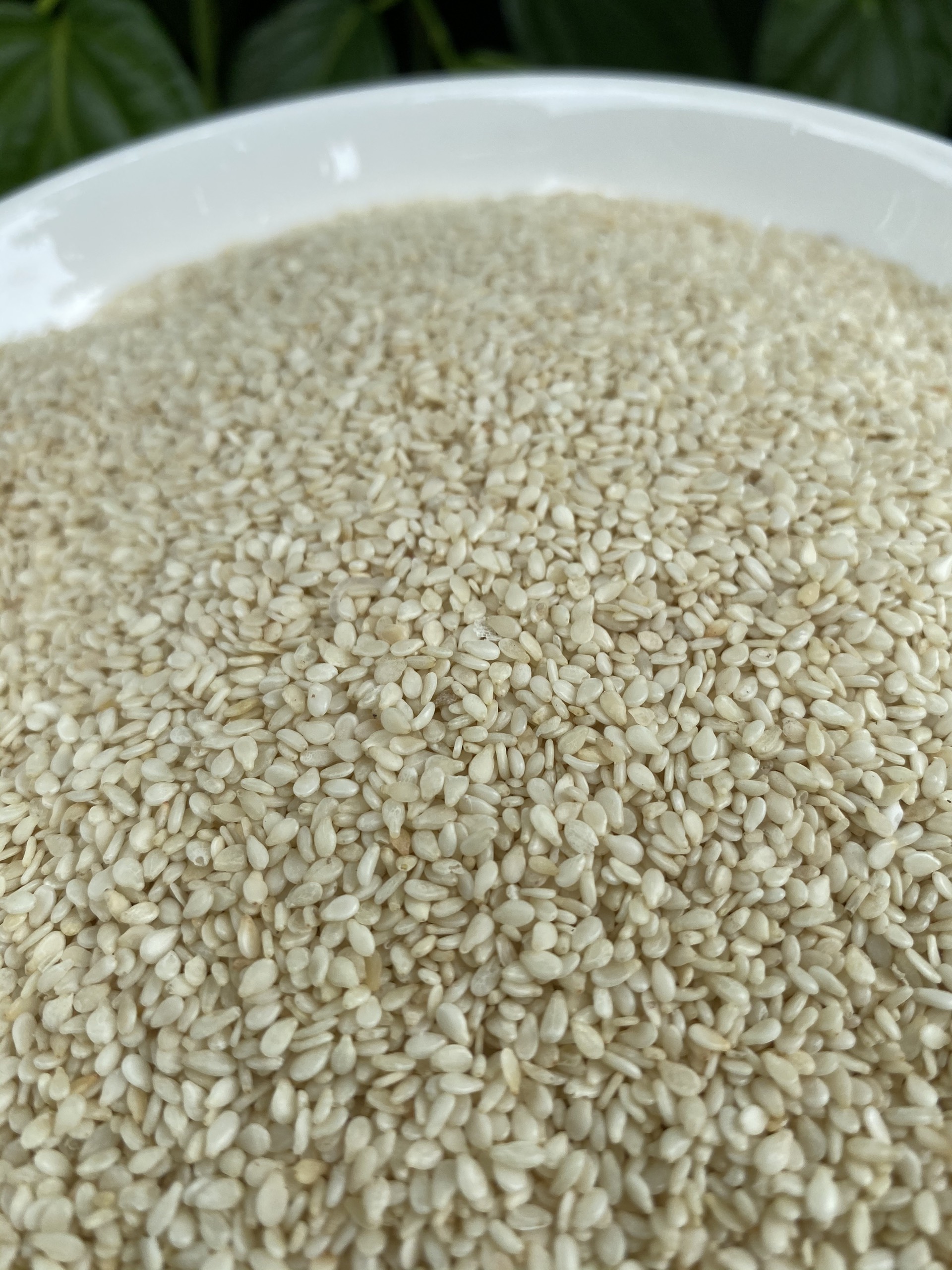 Mè trắng, mè đen túi 100g
