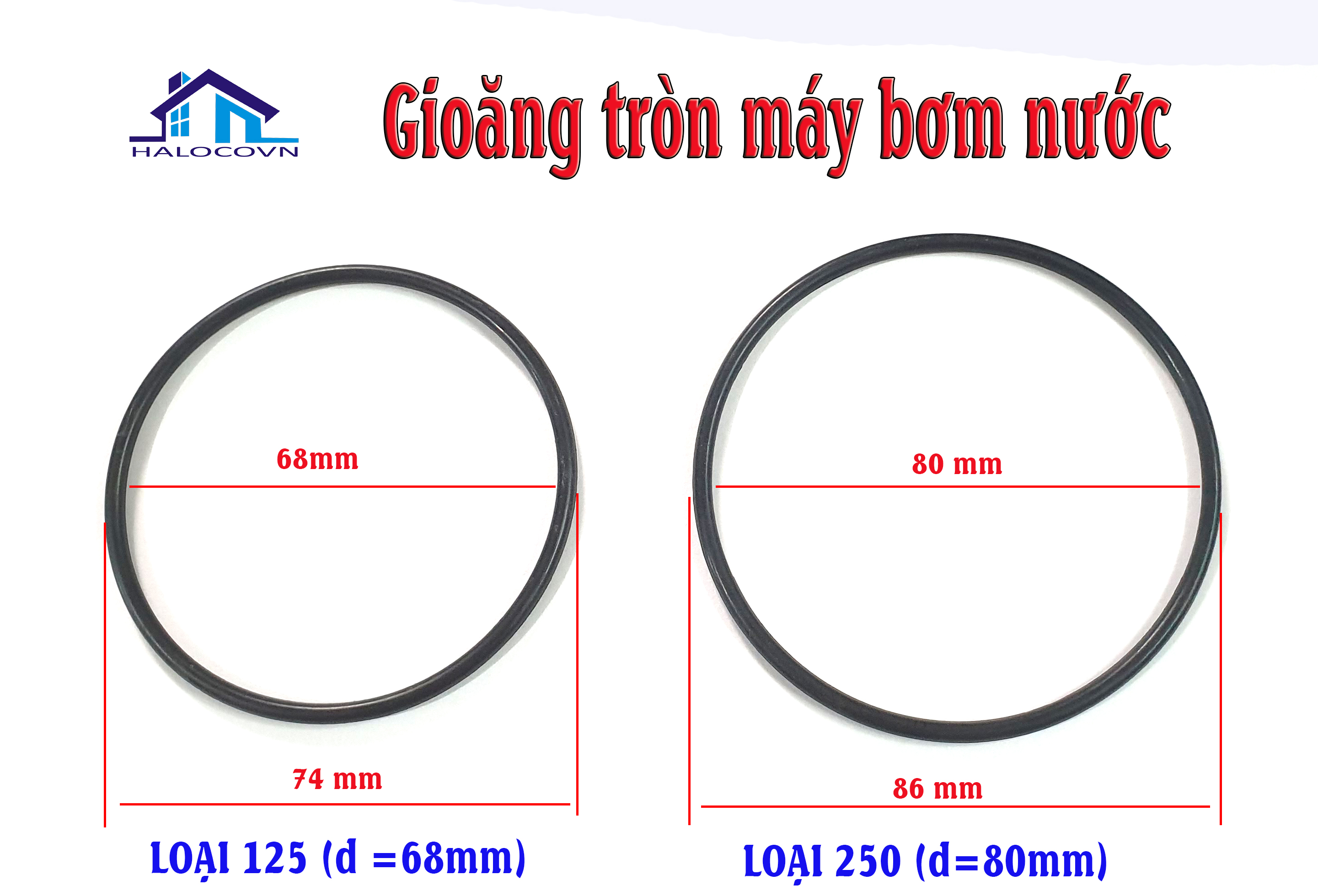 Gioăng máy bơm nước 125 250