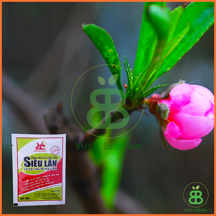 Phân Bón Lá Cao Cấp Siêu Lân Hà Lan 15GR