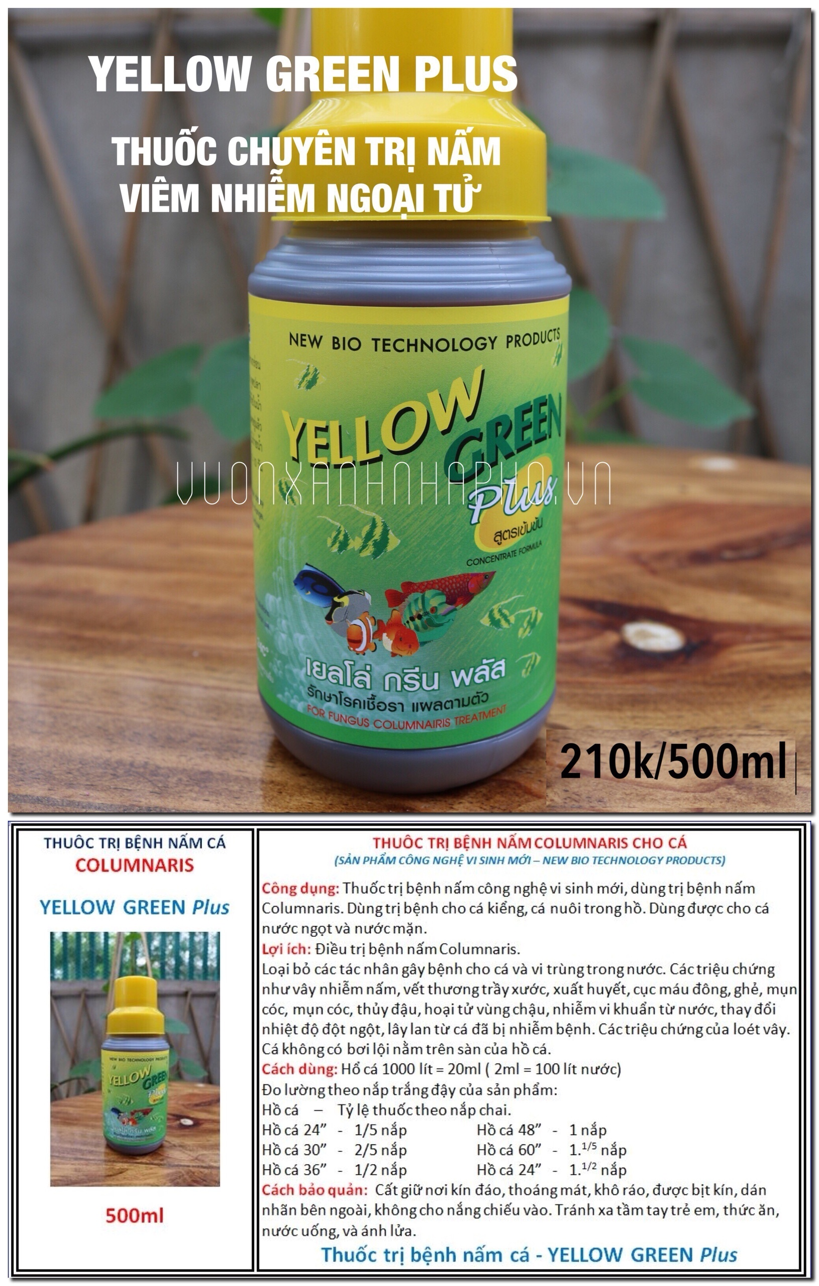 Thuố.c T.rị Bệnh Nấm Cá chai 500ml