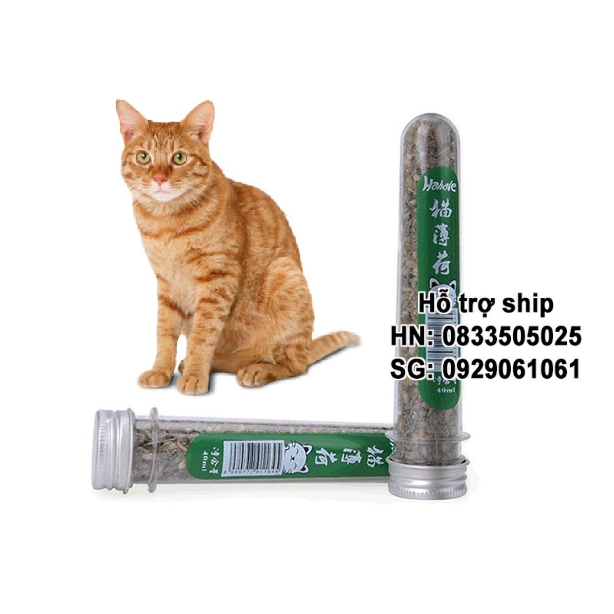 Hanpet - (Mèo Phê lòi)- Cỏ bạc hà thành phẩm bạc hà mèo dạng tuyp- Catnip dùng cho mèo ngửi