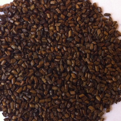 Thảo quyết minh (Hạt muồng muồng) GT092