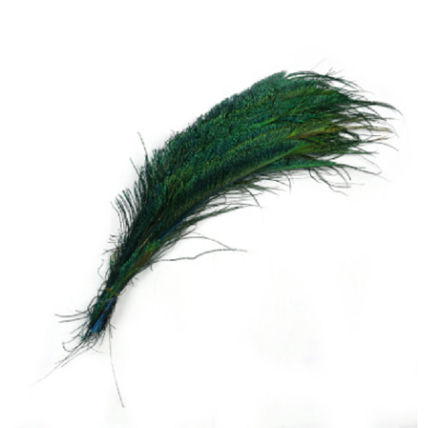 Lông Công RIA 30cm ♈trang trí ,chiêu tài phong thủy