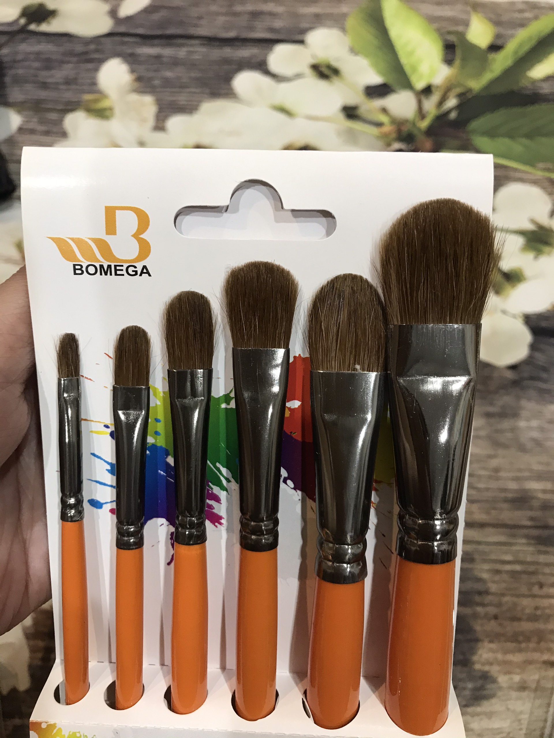 Bộ cọ vẽ cán vàng 6 cây