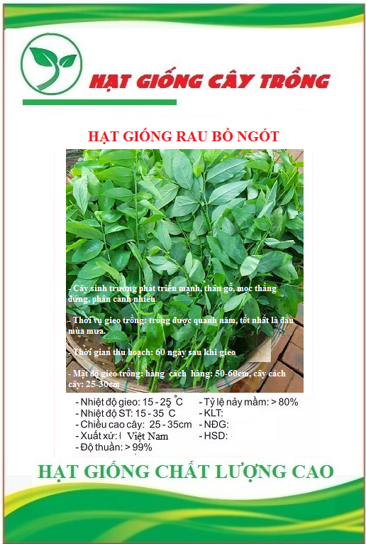 Hạt giống rau bồ ngót - Gói 1gram