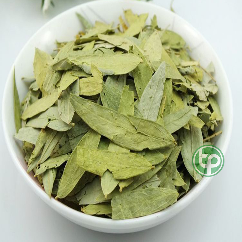 Lá phan tả diệp khô 1kg - Hàng sạch chất lượng cao hỗ trợ cải thiện tình trạng táo bón hiệu quả - Thảo Dược Tấn Phát
