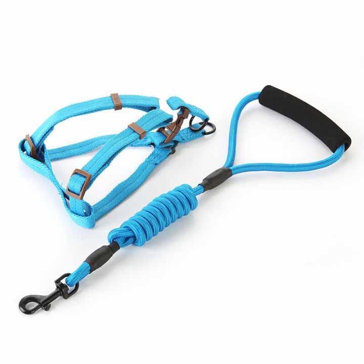 [HCM]Dây dắt cao cấp chó mèo thú cưng - Dây dắt 005