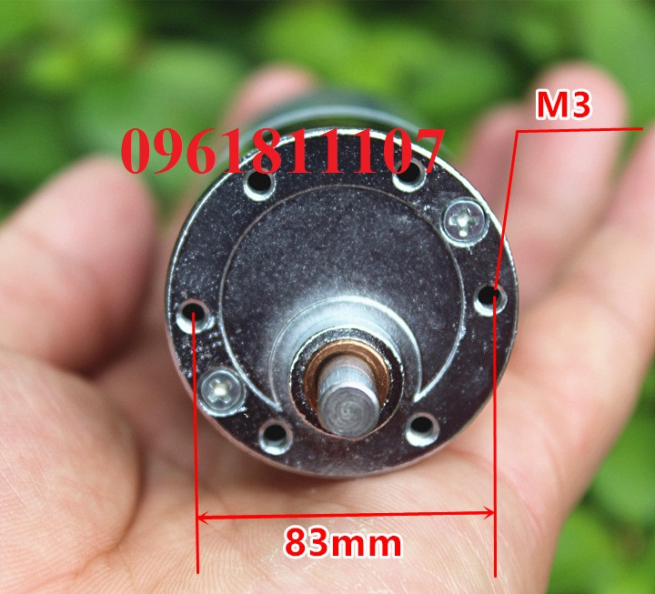 Motor giảm tốc 12v 800 vòng