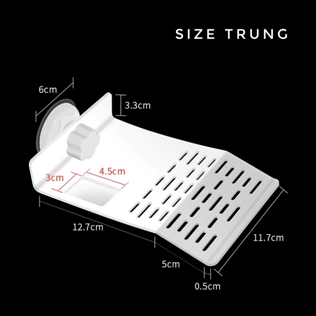 bệ phơi nắng cho rùa cảnh