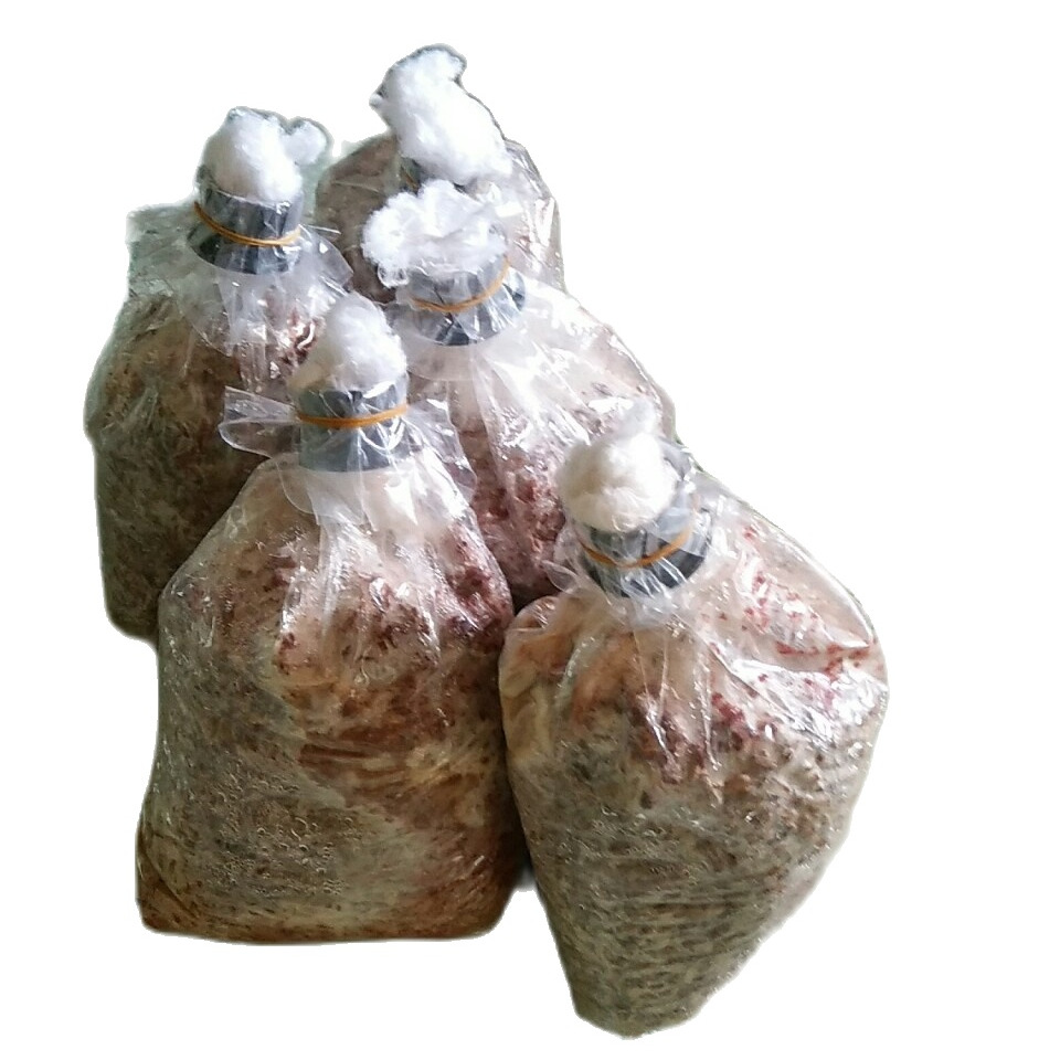 Meo nấm rơm bằng thóc