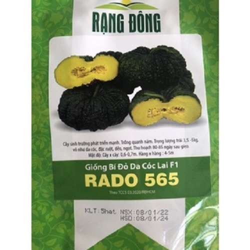 Hạt giống bí đỏ da cóc Rạng Đông bùi, ngọt (5 hạt)