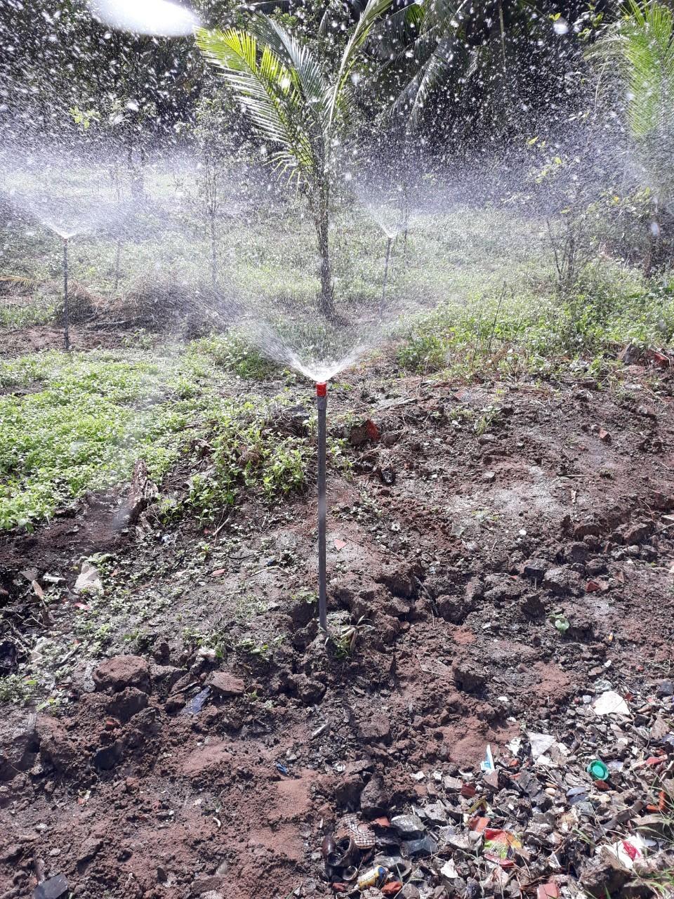 10 cái Béc vít màu đỏ (béc +răng nối)